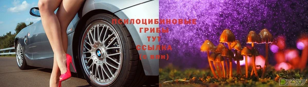 дурь Алексин