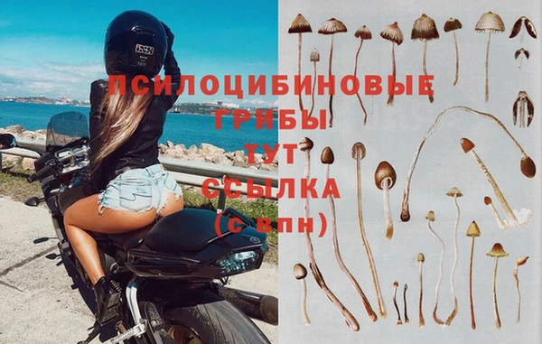 стаф Алексеевка