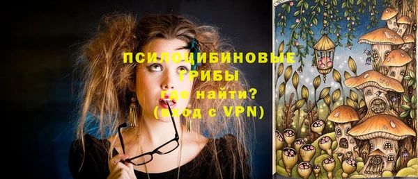 дурь Алексин