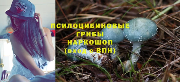 стаф Алексеевка