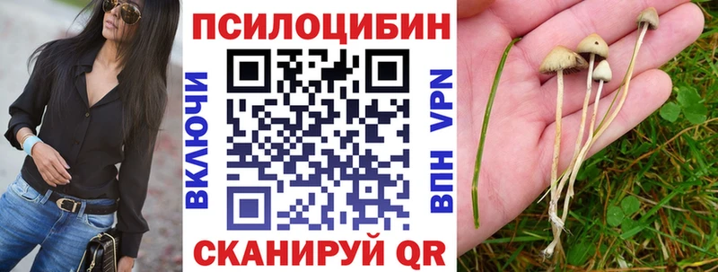 Галлюциногенные грибы Magic Shrooms  blacksprut зеркало  Заволжск 